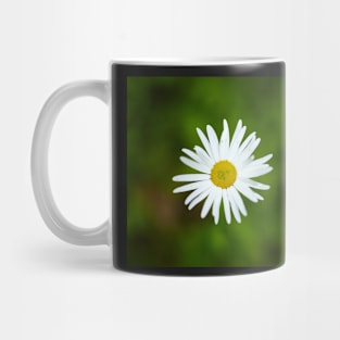 Wild yellow daisies Mug